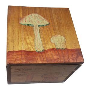 VTG Handpainted Wooden Trinket Box Mushrooms Signed by Artist 4" x 4" x  3.25"